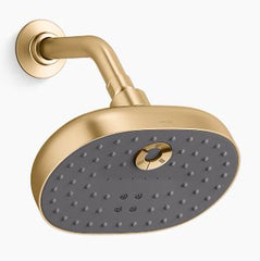 Statement 3 Function Showerhead